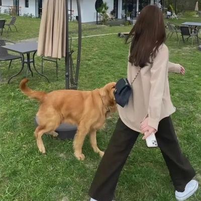 绿魔